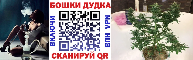 Бошки Шишки OG Kush  Медногорск 